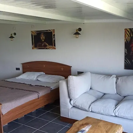 住宿加早餐酒店 Goelyaka