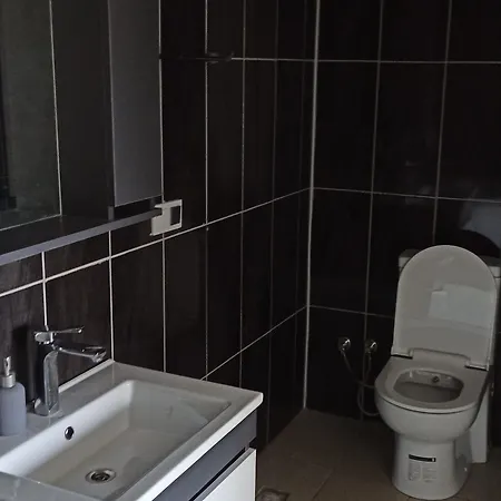 住宿加早餐酒店 Goelyaka