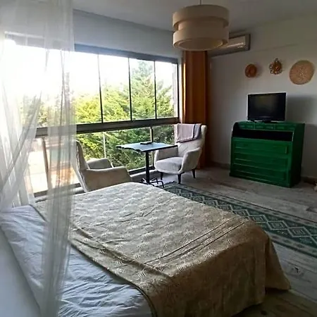 Bed & Breakfast Goelyaka Bursa