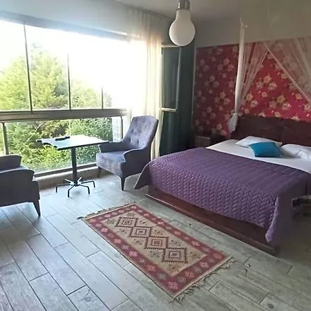 Goelyaka Bed & Breakfast Bursa